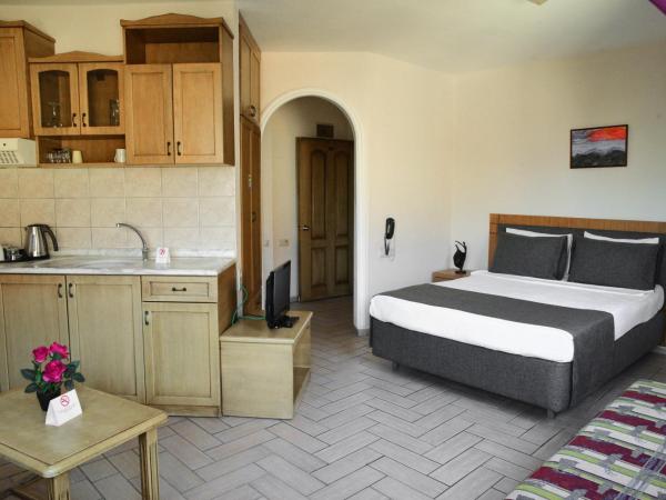 Atak Apart Hotel : photo 1 de la chambre appartement (4 adultes)