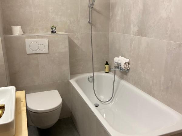 Petit Paradis : photo 7 de la chambre appartement avec vue sur la montagne