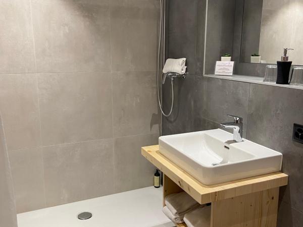 Petit Paradis : photo 8 de la chambre appartement avec vue sur la montagne