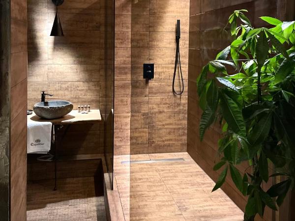 Excalibur miniHotel : photo 7 de la chambre zsák-lak