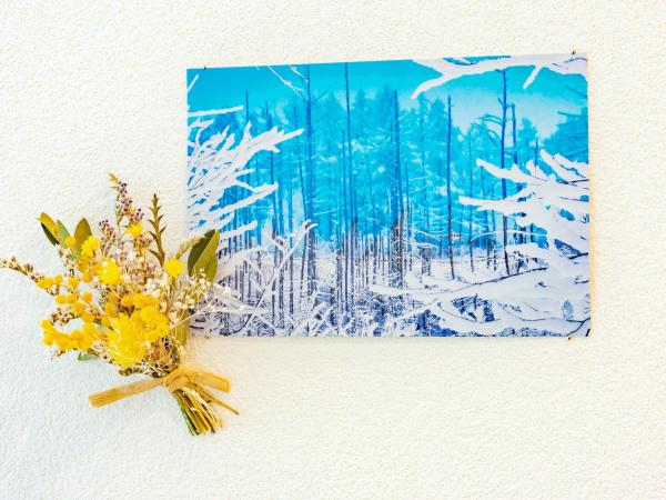 plat hostel keikyu sapporo sky : photo 8 de la chambre chambre lits jumeaux standard