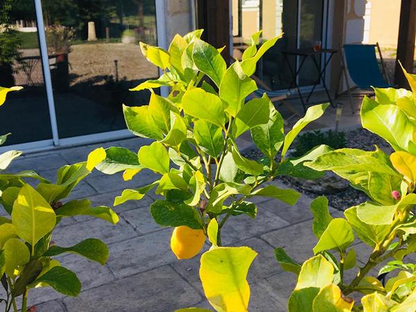 Maison Aubergerac : photo 1 de la chambre chambre double avec terrasse