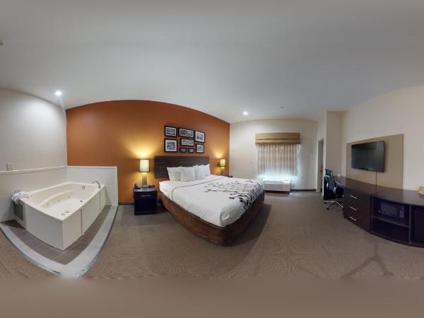 Restwell Inn & Suites I-45 North : photo 1 de la chambre king suite with roll-in-shower - accessible/non-smoking
