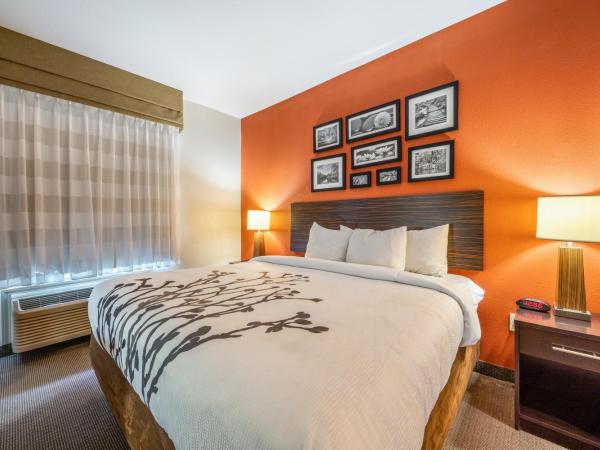 Restwell Inn & Suites I-45 North : photo 6 de la chambre chambre lit king-size