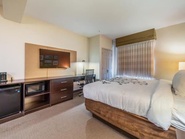 Restwell Inn & Suites I-45 North : photo 1 de la chambre chambre lit king-size