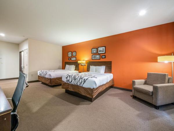 Restwell Inn & Suites I-45 North : photo 8 de la chambre chambre avec 2 grands lits queen-size 