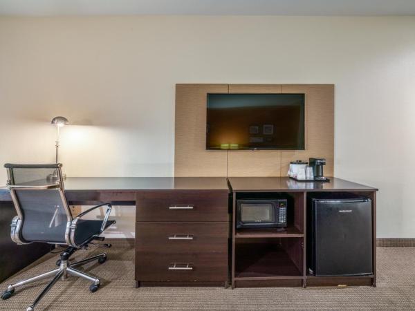 Restwell Inn & Suites I-45 North : photo 4 de la chambre chambre lit king-size