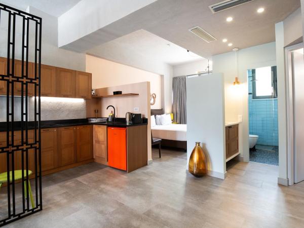 Downtown Athens Lofts - The Acropolis Observatory : photo 3 de la chambre loft gaia