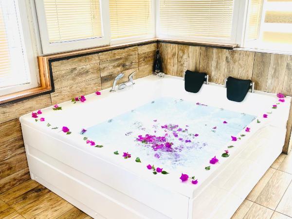 Ale Park Hotel Apartments : photo 1 de la chambre suite avec jacuzzi