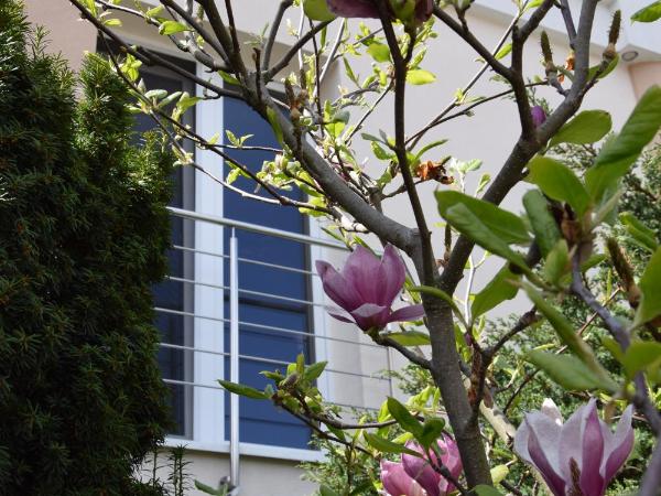 Hotel Boss : photo 5 de la chambre chambre simple