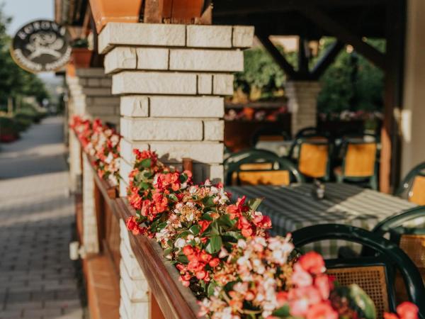 Korona Pension and Restaurant : photo 5 de la chambre chambre simple Économique