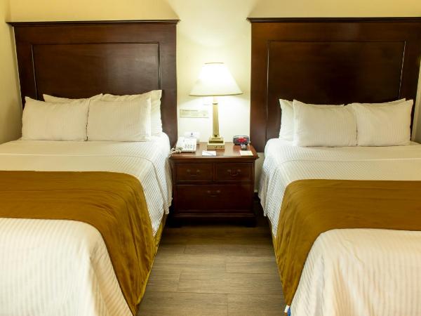 Hotel Plaza Calzada : photo 5 de la chambre chambre double avec 2 lits doubles - non-fumeurs