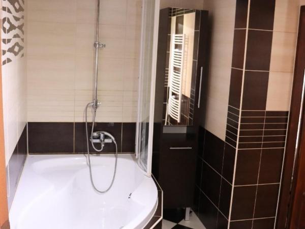 U Betty - Ostrava Centrum : photo 8 de la chambre appartement avec sauna