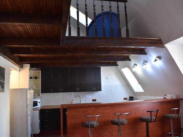 U Betty - Ostrava Centrum : photo 8 de la chambre appartement en duplex