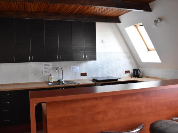 U Betty - Ostrava Centrum : photo 10 de la chambre appartement en duplex