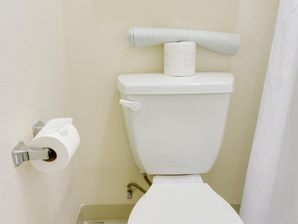 California Suites Hotel : photo 2 de la chambre chambre double avec 2 lits doubles