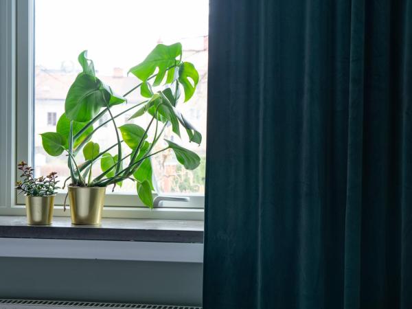 Botanika Uppsala : photo 6 de la chambre chambre deluxe