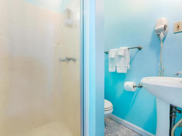 Historic Inn in the Marigny, blocks to French Quarter : photo 7 de la chambre gîte 1 chambre