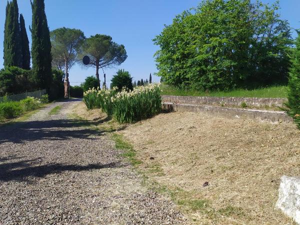 DAGO Farmhouse : photo 5 de la chambre chambre deluxe