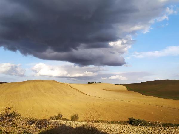 DAGO Farmhouse : photo 8 de la chambre chambre deluxe