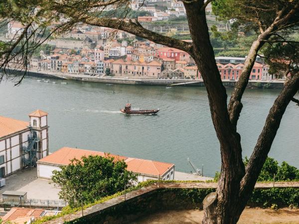 Torel Avantgarde : photo 9 de la chambre hébergement exécutif royal