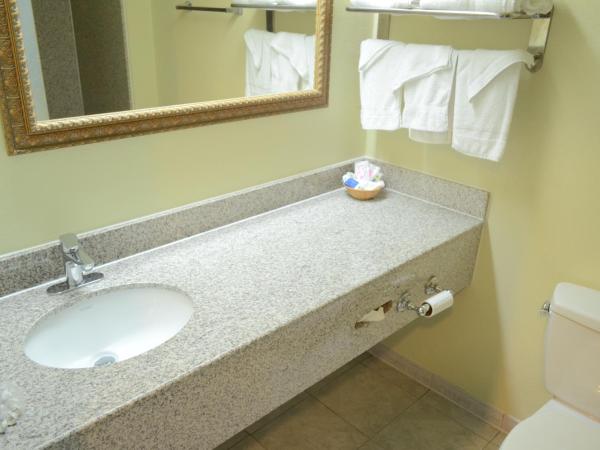 Scottish Inn and Suites NRG Park/Texas Medical Center - Houston : photo 2 de la chambre chambre attribuée à l'arrivée