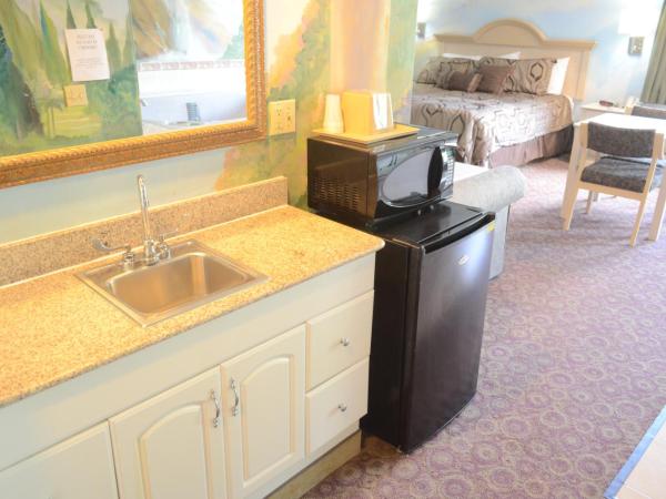 Scottish Inn and Suites NRG Park/Texas Medical Center - Houston : photo 6 de la chambre suite de luxe avec baignoire spa - fumeurs