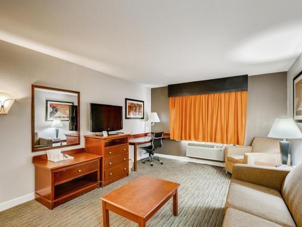 Orangewood Inn and Suites Midtown : photo 4 de la chambre suite lit king-size