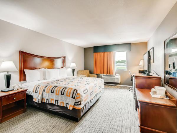 Orangewood Inn and Suites Midtown : photo 3 de la chambre chambre lit king-size - non-fumeurs