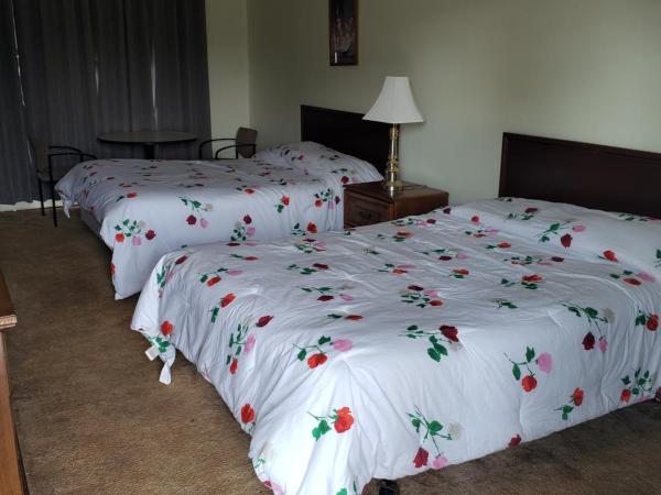 Olympia Motel : photo 4 de la chambre chambre avec 2 grands lits queen-size 