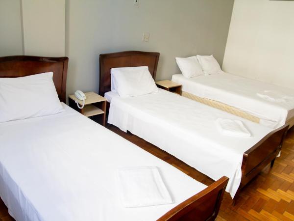 Amazonas Palace Hotel Belo Horizonte - Avenida Amazonas : photo 1 de la chambre chambre triple