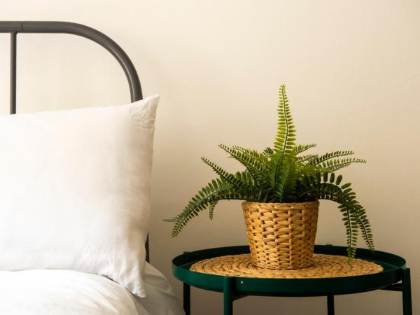 Haystack Hostel : photo 4 de la chambre chambre double avec salle de bains commune