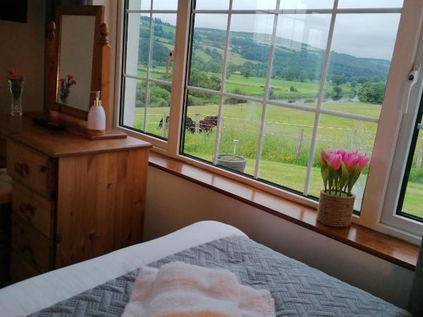 Cable Island Bed and Breakfast : photo 1 de la chambre chambre familiale