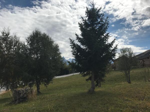 SKI LODGE : photo 6 de la chambre chalet supérieur