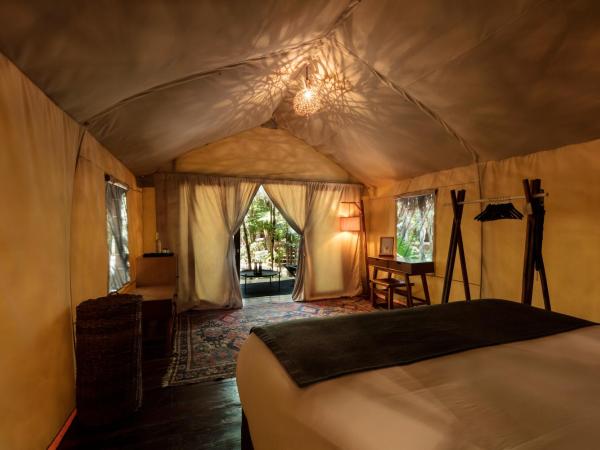 Our Habitas Tulum : photo 5 de la chambre hébergement double jungle 
