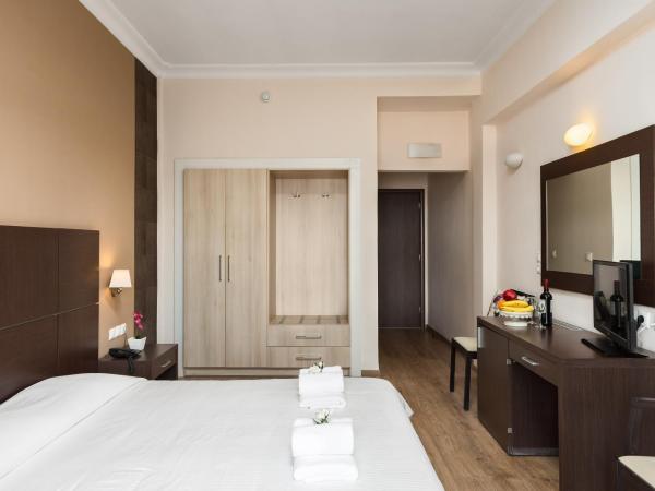 Arion Hotel : photo 2 de la chambre chambre simple