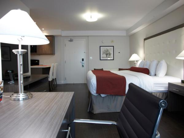 Admiral Inn Mississauga : photo 5 de la chambre studio lit king-size