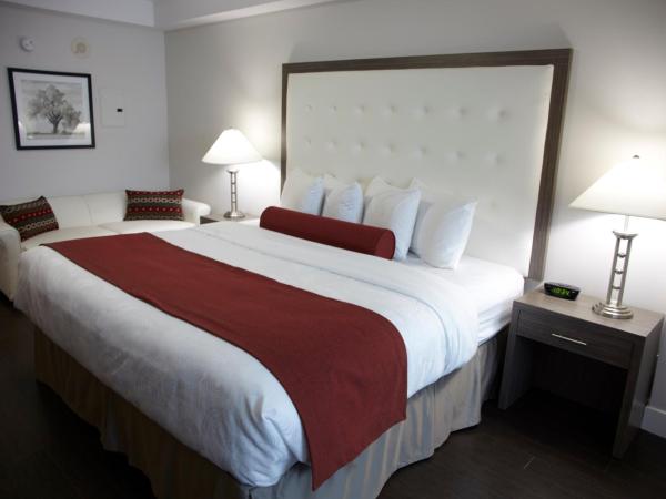 Admiral Inn Mississauga : photo 1 de la chambre studio lit king-size