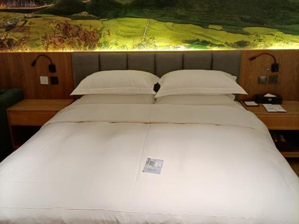 TRUE Go hotel : photo 9 de la chambre chambre double standard