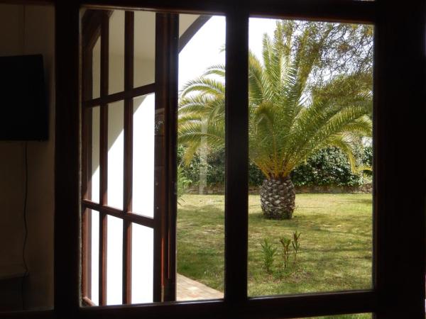 Monte-Bougainvillea : photo 5 de la chambre appartement 1 chambre