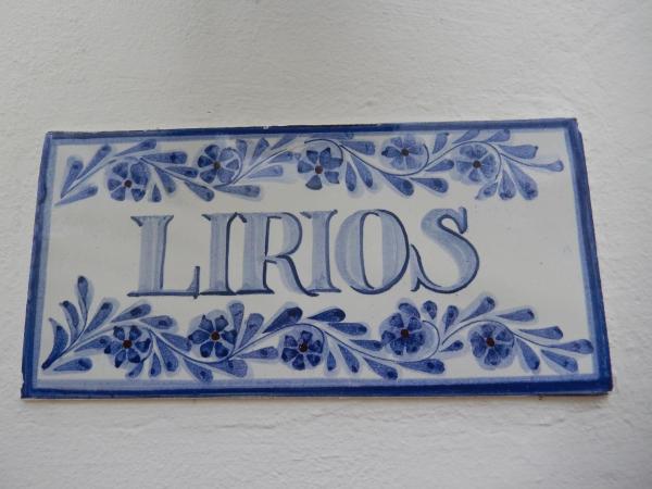 Monte-Bougainvillea : photo 1 de la chambre appartement 1 chambre