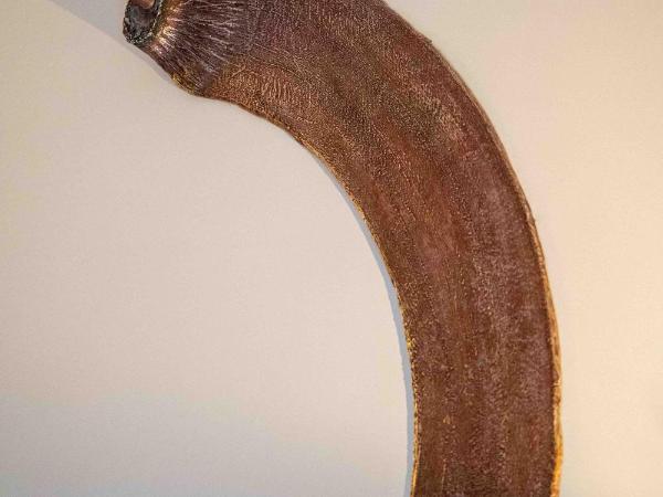 Atelier Inès Arts & Suites : photo 6 de la chambre suite junior deluxe