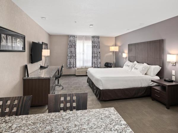 Home Inn & Suites Saskatoon South : photo 2 de la chambre chambre lit king-size affaires