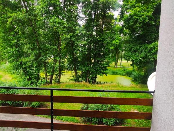 Strzeszynek - wypoczynek : photo 4 de la chambre chambre quadruple avec salle de bains