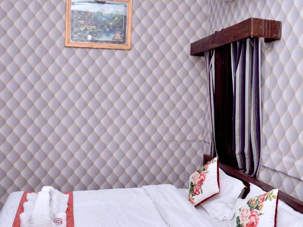 Vyas Haveli : photo 3 de la chambre chambre deluxe