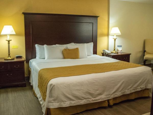 Hotel Plaza Calzada : photo 4 de la chambre chambre simple - non-fumeurs