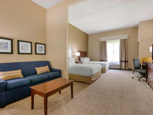 Comfort Suites Near Universal Orlando Resort : photo 1 de la chambre chambre 2 lits queen-size - accessible aux personnes à mobilité réduite - non-fumeurs
