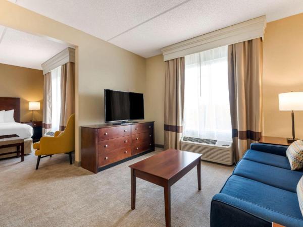 Comfort Suites Near Universal Orlando Resort : photo 1 de la chambre suite lit king-size