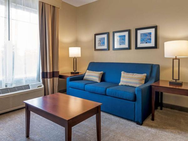 Comfort Suites Near Universal Orlando Resort : photo 2 de la chambre suite lit king-size