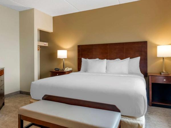 Comfort Suites Near Universal Orlando Resort : photo 5 de la chambre suite lit king-size